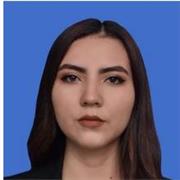 Profesor de apoyo escolar para niños en las áreas de Ciencias sociales, ciencias políticas, filosofía, lengua castellana